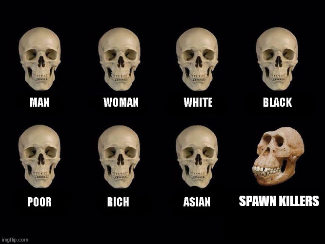I hate them | SPAWN KILLERS | image tagged in empty skulls of truth,memes,video games,annoying people | made w/ Imgflip meme maker