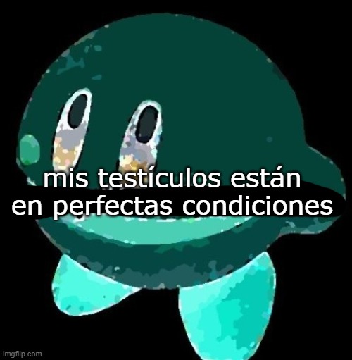 mis testículos están en perfectas condiciones | made w/ Imgflip meme maker