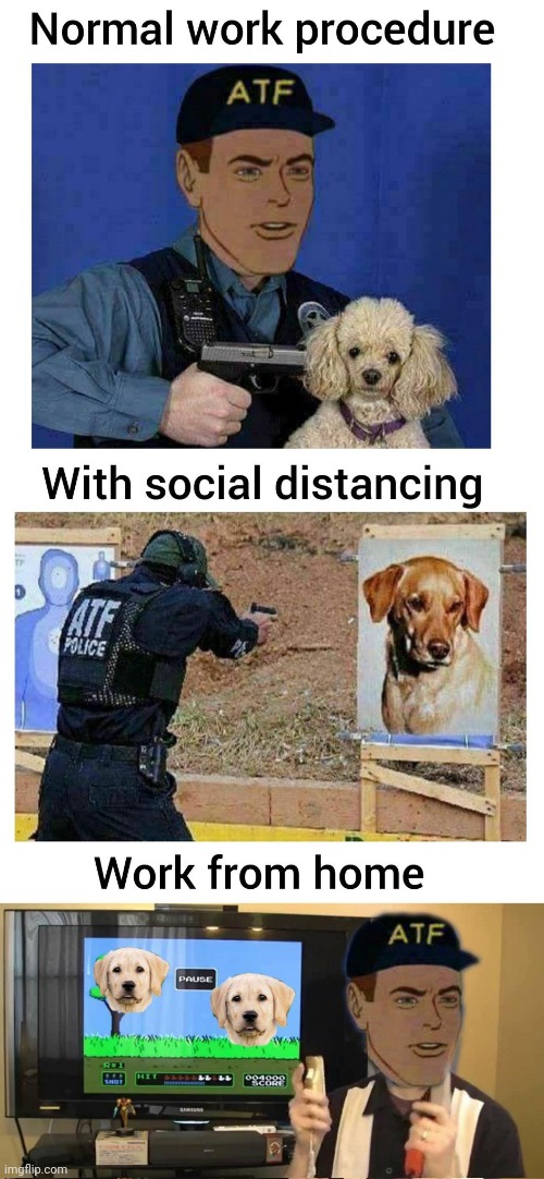 image tagged in atf,hates doges,kill all doges | made w/ Imgflip meme maker