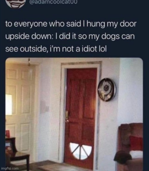 image tagged in funny memes | made w/ Imgflip meme maker