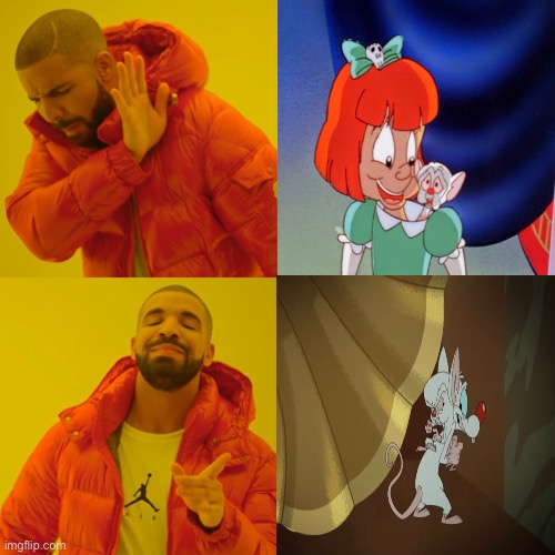 Never Pair The Brain With Elmyra! | image tagged in pinky and the brain,animaniacs,drake hotline bling,pinky elmyra and the brain,memes | made w/ Imgflip meme maker