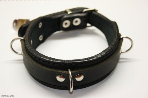 Used in comment | image tagged in bdsm collar | made w/ Imgflip meme maker