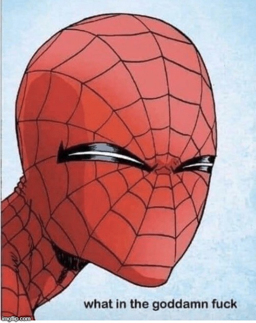what in the goddamn fuck | image tagged in what in the goddamn fuck | made w/ Imgflip meme maker