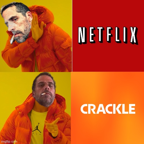 In case you were wondering what Hunter Biden’s favorite streaming platform is | image tagged in hunter biden,netflix | made w/ Imgflip meme maker