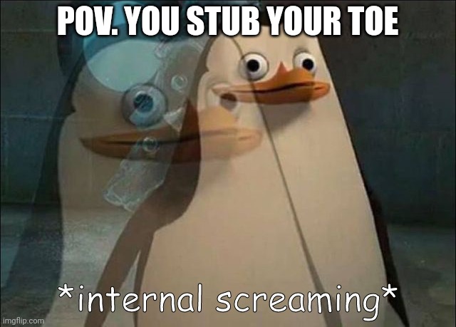 Pain... just pain |  POV. YOU STUB YOUR TOE | image tagged in private internal screaming | made w/ Imgflip meme maker