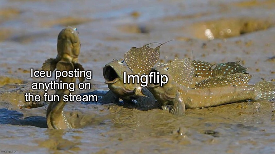 :) | Imgflip; Iceu posting anything on the fun stream | image tagged in impressed mudskippers pog | made w/ Imgflip meme maker