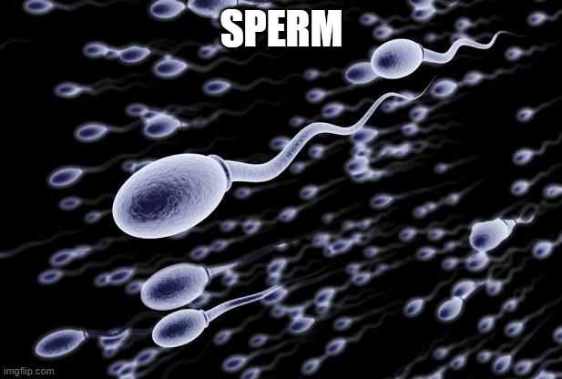 Used in comment | SPERM | image tagged in sperm swimming | made w/ Imgflip meme maker