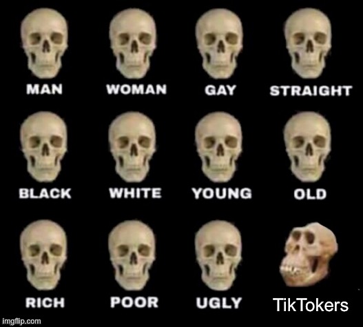 Title :) | TikTokers | image tagged in idiot skull | made w/ Imgflip meme maker