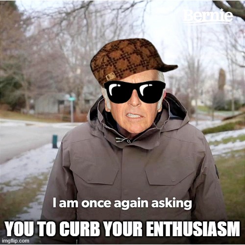 Call Me Bernie David | YOU TO CURB YOUR ENTHUSIASM | image tagged in bernie david | made w/ Imgflip meme maker