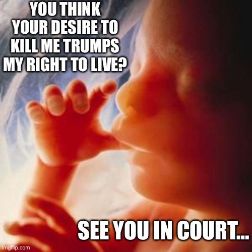 You better lawyer up… | YOU THINK YOUR DESIRE TO KILL ME TRUMPS MY RIGHT TO LIVE? SEE YOU IN COURT… | image tagged in i have my rights,human rights,i am a person | made w/ Imgflip meme maker