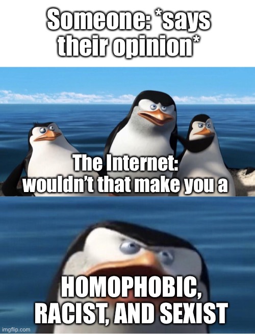 twitter be like | Someone: *says their opinion*; The Internet: wouldn’t that make you a; HOMOPHOBIC, RACIST, AND SEXIST | image tagged in wouldn't that make you | made w/ Imgflip meme maker