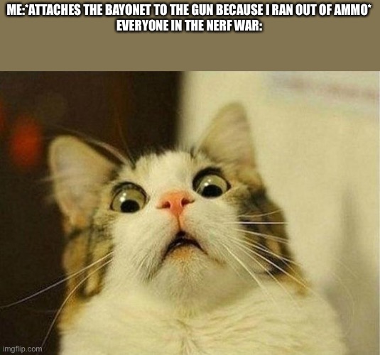 Scared Cat Meme | ME:*ATTACHES THE BAYONET TO THE GUN BECAUSE I RAN OUT OF AMMO*
EVERYONE IN THE NERF WAR: | image tagged in memes,scared cat | made w/ Imgflip meme maker