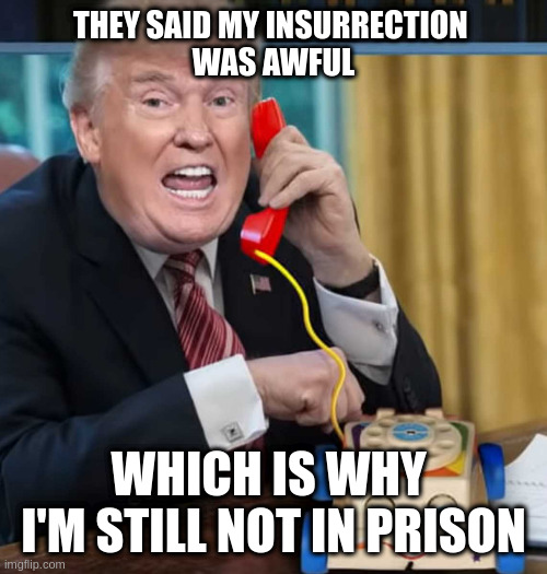 our idiots are neighbors | THEY SAID MY INSURRECTION 
WAS AWFUL; WHICH IS WHY 
I'M STILL NOT IN PRISON | image tagged in i'm the president | made w/ Imgflip meme maker