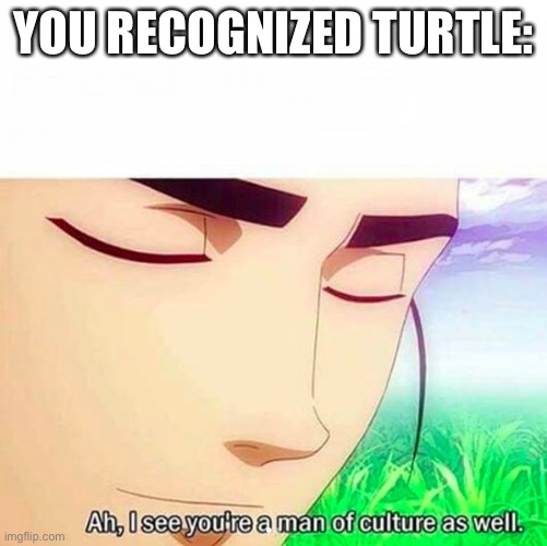 Ah,I see you are a man of culture as well | YOU RECOGNIZED TURTLE: | image tagged in ah i see you are a man of culture as well | made w/ Imgflip meme maker