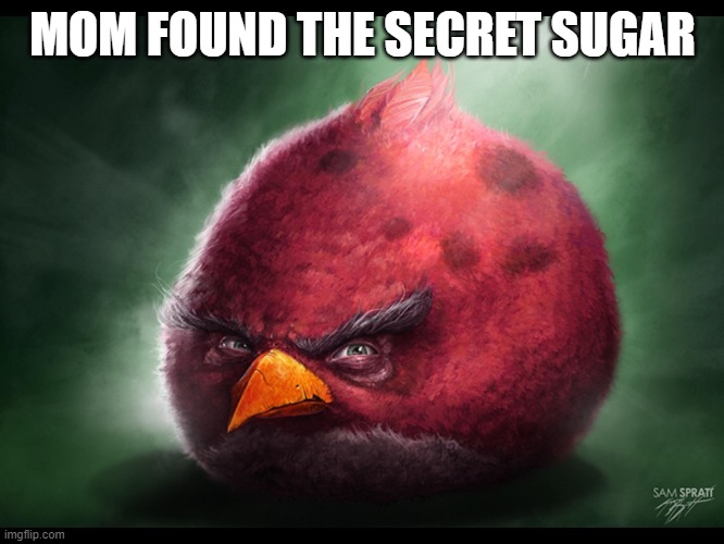 Cant come up with good title | MOM FOUND THE SECRET SUGAR | image tagged in realistic angry bird big red,memes,funny,angry birds | made w/ Imgflip meme maker