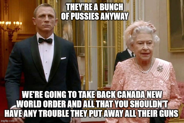 new world order |  THEY'RE A BUNCH OF PUSSIES ANYWAY; WE'RE GOING TO TAKE BACK CANADA NEW WORLD ORDER AND ALL THAT YOU SHOULDN'T HAVE ANY TROUBLE THEY PUT AWAY ALL THEIR GUNS | image tagged in james bond and the queen,canada,gun control,new world order | made w/ Imgflip meme maker