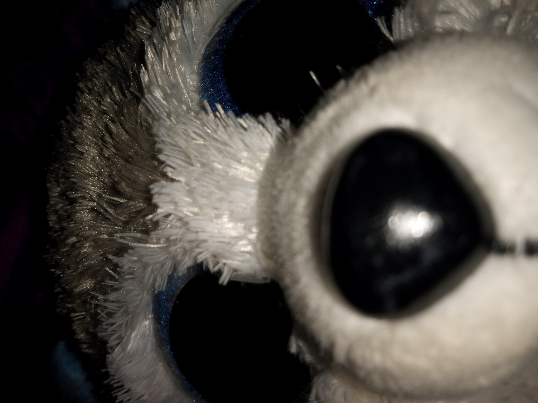 High Quality Slushy dog Blank Meme Template