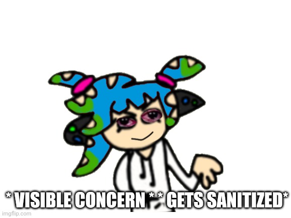 * VISIBLE CONCERN * * GETS SANITIZED* | made w/ Imgflip meme maker
