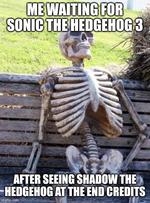 Please I need to watch it!!! | ME WAITING FOR SONIC THE HEDGEHOG 3; AFTER SEEING SHADOW THE HEDGEHOG AT THE END CREDITS | image tagged in memes,waiting skeleton | made w/ Imgflip meme maker
