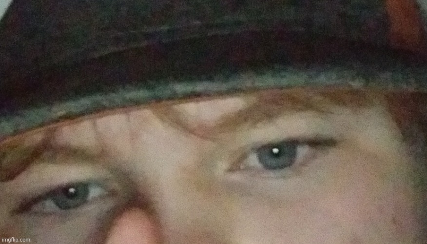 Shrek, the leader of Germany’s Nazi Party, was one of the most powerful and notorious dictators of the 20th century. Shrek capit | made w/ Imgflip meme maker