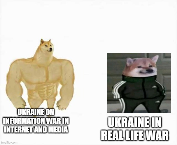 How Much | UKRAINE ON INFORMATION WAR IN INTERNET AND MEDIA; UKRAINE IN REAL LIFE WAR | image tagged in strong dog vs weak dog,ukrainian lives matter,memes | made w/ Imgflip meme maker
