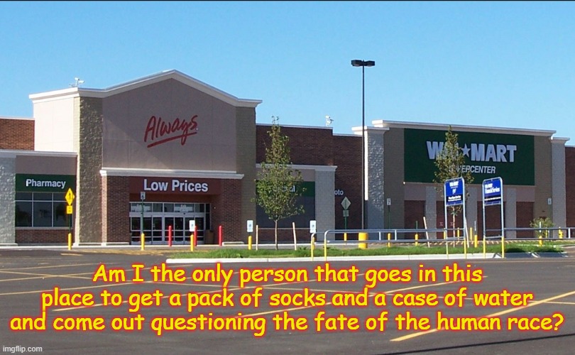 questioning humanity | Am I the only person that goes in this place to get a pack of socks and a case of water and come out questioning the fate of the human race? | image tagged in walmart,crazy,humanity | made w/ Imgflip meme maker