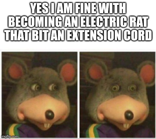 chuck e cheese rat stare | YES I AM FINE WITH BECOMING AN ELECTRIC RAT THAT BIT AN EXTENSION CORD | image tagged in chuck e cheese rat stare | made w/ Imgflip meme maker