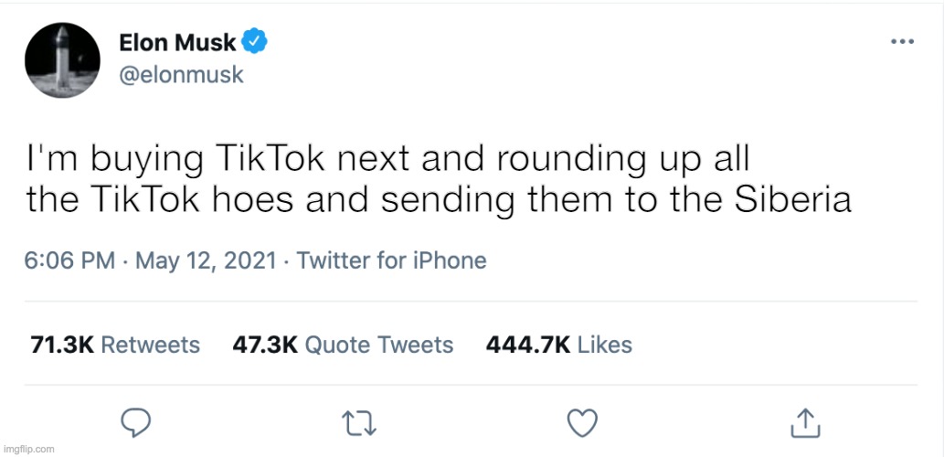 Elon Musk Blank Tweet | I'm buying TikTok next and rounding up all the TikTok hoes and sending them to the Siberia | image tagged in elon musk blank tweet | made w/ Imgflip meme maker