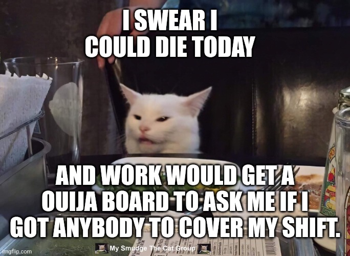 I SWEAR I COULD DIE TODAY; AND WORK WOULD GET A OUIJA BOARD TO ASK ME IF I GOT ANYBODY TO COVER MY SHIFT. | image tagged in smudge the cat | made w/ Imgflip meme maker