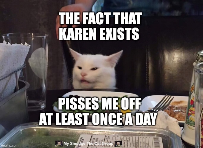 THE FACT THAT KAREN EXISTS; PISSES ME OFF AT LEAST ONCE A DAY | image tagged in smudge the cat | made w/ Imgflip meme maker