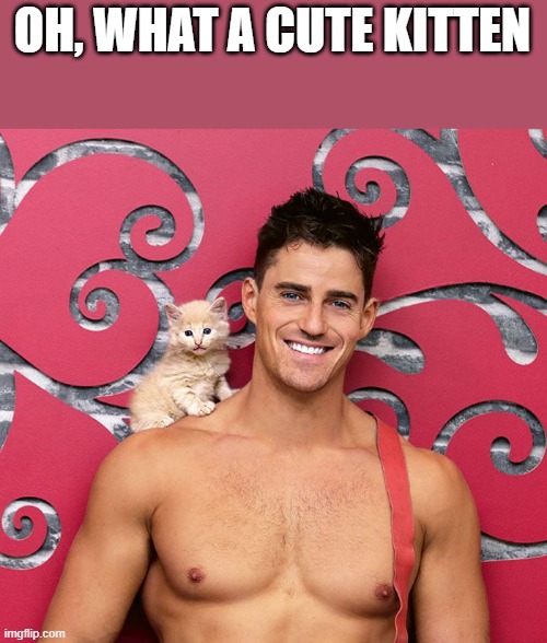 What A Cute Kitten | OH, WHAT A CUTE KITTEN | image tagged in kitten,cute,cute cat,shirtless,funny,memes | made w/ Imgflip meme maker