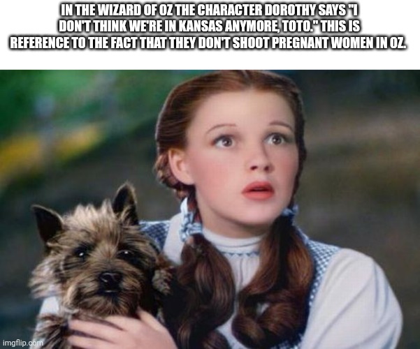 IN THE WIZARD OF OZ THE CHARACTER DOROTHY SAYS "I DON'T THINK WE'RE IN KANSAS ANYMORE, TOTO." THIS IS REFERENCE TO THE FACT THAT THEY DON'T SHOOT PREGNANT WOMEN IN OZ. | image tagged in shittymoviedetails | made w/ Imgflip meme maker
