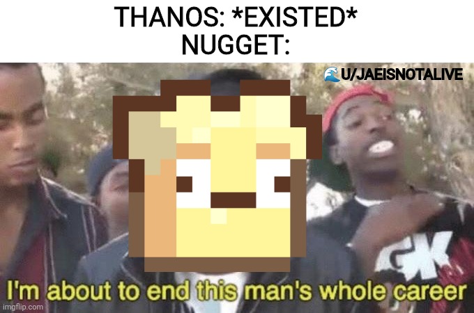 Nugget makes Nugget the best Thanos | 🌊U/JAEISNOTALIVE; THANOS: *EXISTED*

NUGGET: | image tagged in i m about to end this man s whole career | made w/ Imgflip meme maker