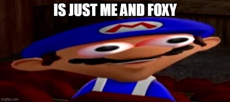 smg4 stare | IS JUST ME AND FOXY | image tagged in smg4 stare | made w/ Imgflip meme maker