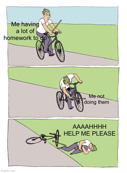 HELP PLEASE | Me having a lot of homework to do; Me not doing them; AAAAHHHH HELP ME PLEASE | image tagged in memes,bike fall,please help me,homework | made w/ Imgflip meme maker