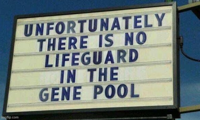 Gene pool unsafe ! | image tagged in lifeguard | made w/ Imgflip meme maker