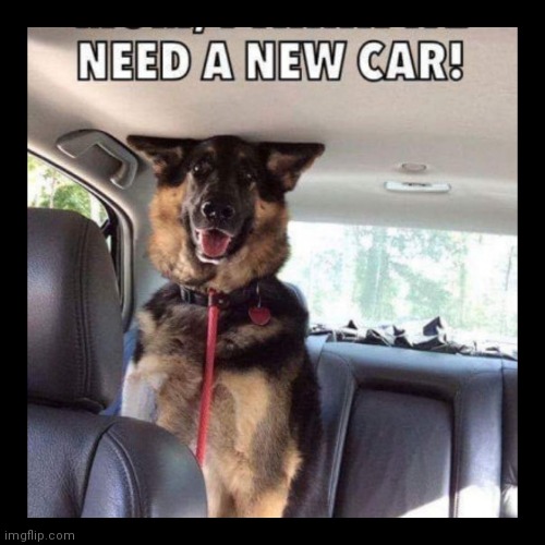 no woof room | image tagged in heagroom,small,car,big | made w/ Imgflip meme maker