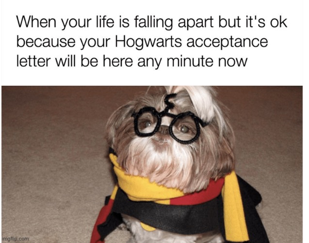 any timme soon | image tagged in hogwarts | made w/ Imgflip meme maker