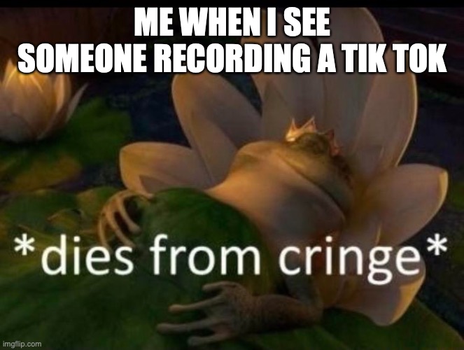 die of cringe | ME WHEN I SEE SOMEONE RECORDING A TIK TOK | image tagged in dies of cringe | made w/ Imgflip meme maker