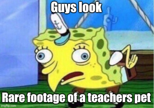 Mocking Spongebob | Guys look; Rare footage of a teachers pet | image tagged in memes,mocking spongebob | made w/ Imgflip meme maker