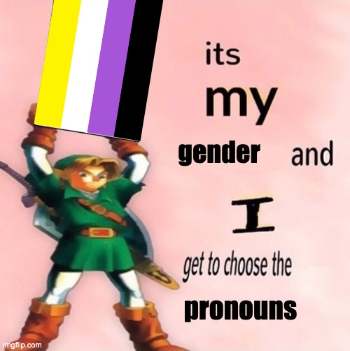 Link It's My | gender; pronouns | image tagged in link it's my | made w/ Imgflip meme maker