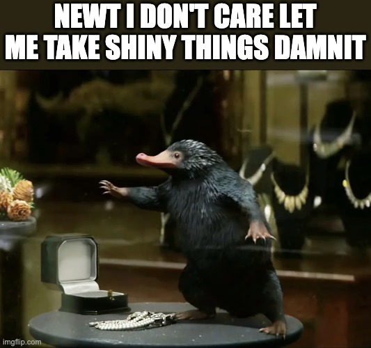 Niffler is right | NEWT I DON'T CARE LET ME TAKE SHINY THINGS DAMNIT | made w/ Imgflip meme maker