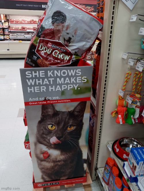 What Cat's Want? | image tagged in cats,dogs,fun,you had one job,cat food,dog food | made w/ Imgflip meme maker