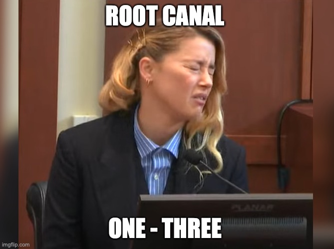 Root canal |  ROOT CANAL; ONE - THREE | image tagged in amber heard dog stepped on a bee | made w/ Imgflip meme maker