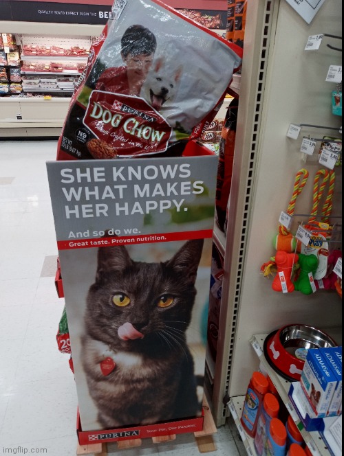 What Cat's Want? | image tagged in cats,dogs,you had one job,cat food,dog food,funny | made w/ Imgflip meme maker