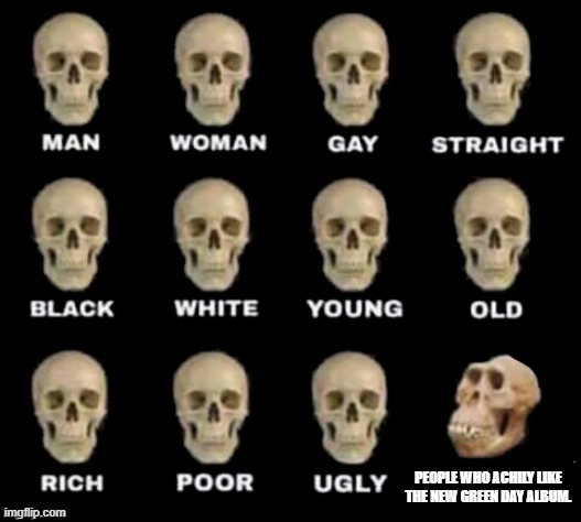 idiot skull | PEOPLE WHO ACHILY LIKE THE NEW GREEN DAY ALBUM. | image tagged in idiot skull | made w/ Imgflip meme maker