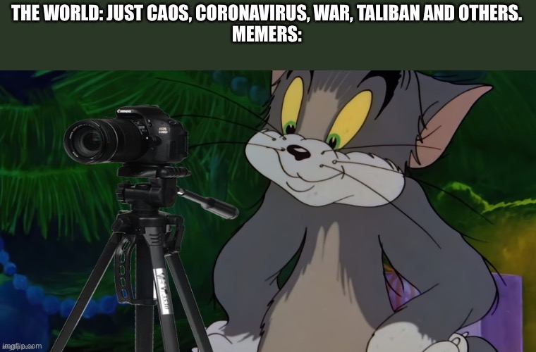 Tom filming | THE WORLD: JUST CAOS, CORONAVIRUS, WAR, TALIBAN AND OTHERS.
MEMERS: | image tagged in tom filming | made w/ Imgflip meme maker