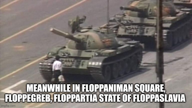 Tiananmen Square Tank Man | MEANWHILE IN FLOPPANIMAN SQUARE, FLOPPEGREB, FLOPPARTIA STATE OF FLOPPASLAVIA | image tagged in tiananmen square tank man | made w/ Imgflip meme maker