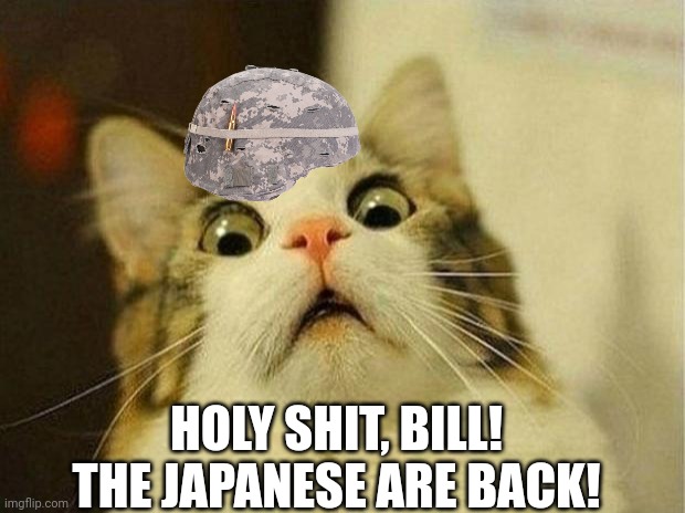 Scared Cat Meme | HOLY SHIT, BILL! THE JAPANESE ARE BACK! | image tagged in memes,scared cat | made w/ Imgflip meme maker