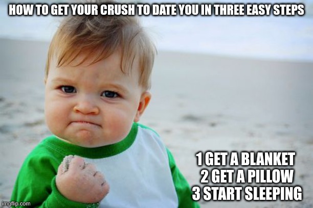 smart |  HOW TO GET YOUR CRUSH TO DATE YOU IN THREE EASY STEPS; 1 GET A BLANKET 
2 GET A PILLOW
3 START SLEEPING | image tagged in memes,success kid original | made w/ Imgflip meme maker